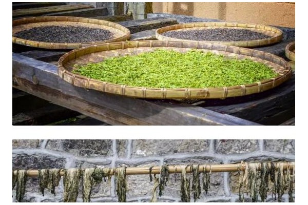 這4種廉價蔬菜曬干后，營養翻10倍！放1年不